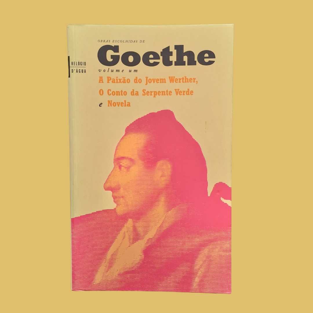 A paixão do jovem Werther; O conto da Serpente Verde; Novela - Goethe