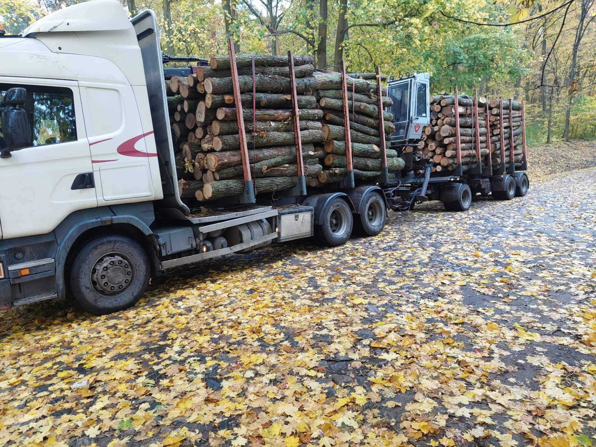 Transport HDS Drewna stosowego, opałowego, kłody