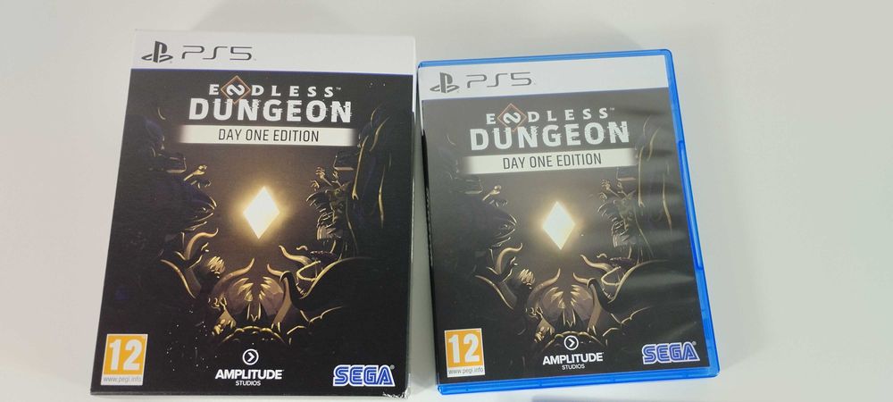 Endless Dungeon Day One Edition Playstation 5 PS5