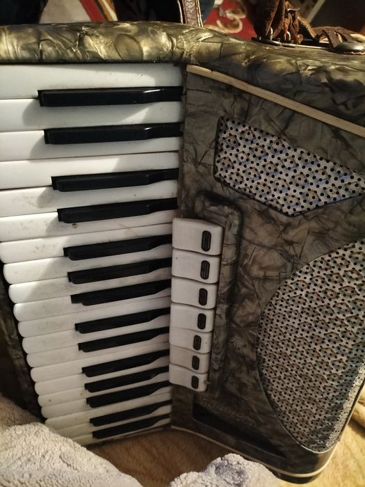 Akordeon Viktoria 80 basów