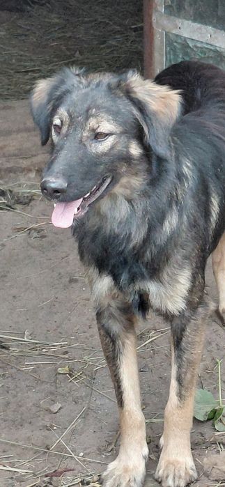 Красивий хлопчик у добрі ручки