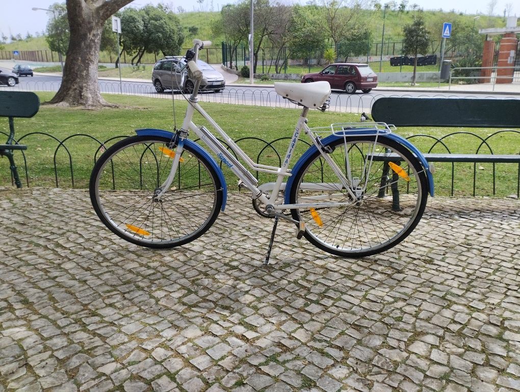 Vendo bicicleta pasteleira senhora.