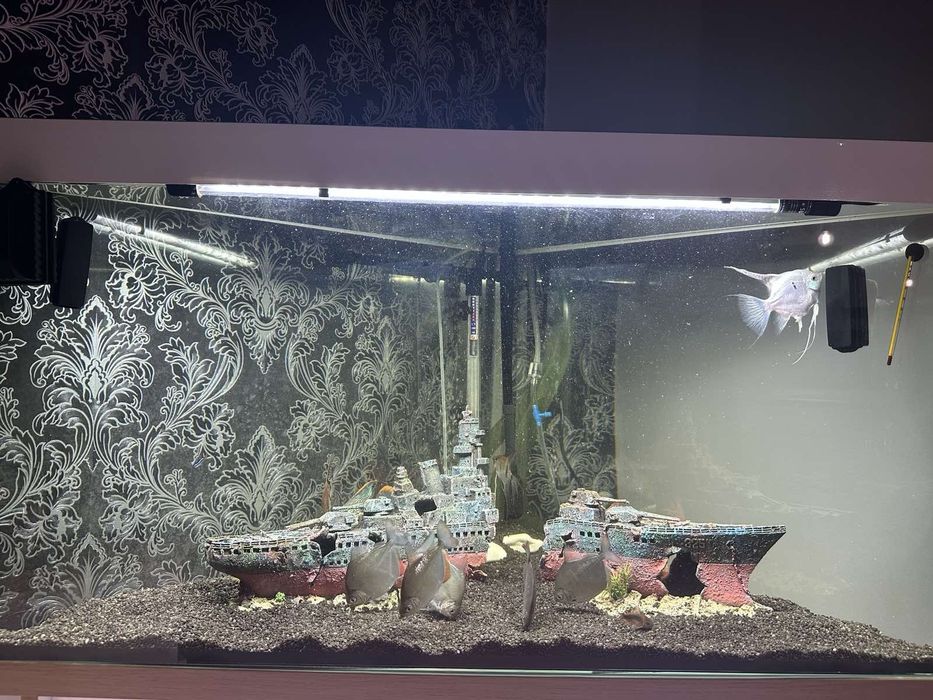 Акваріум на 200 літрів з тумбою самовивіз