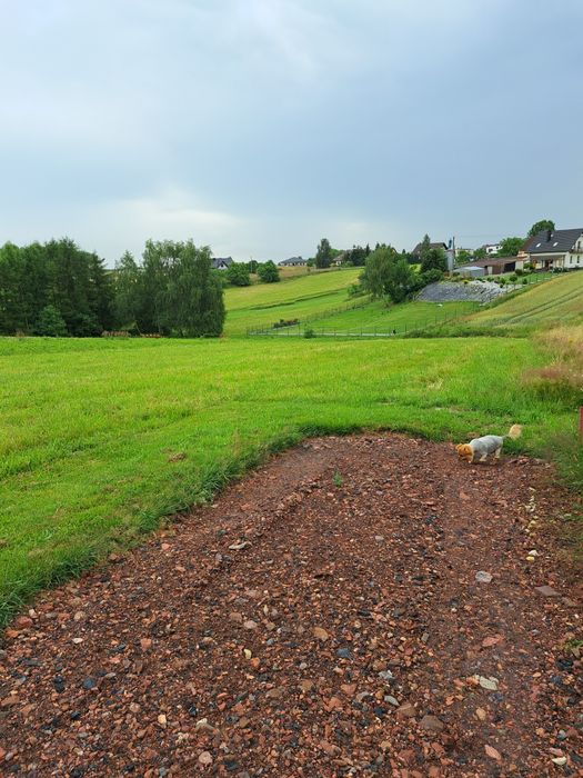 Sprzdam działkę budowlaną o pow. 1540 m2 w piątej linii zabudowy
