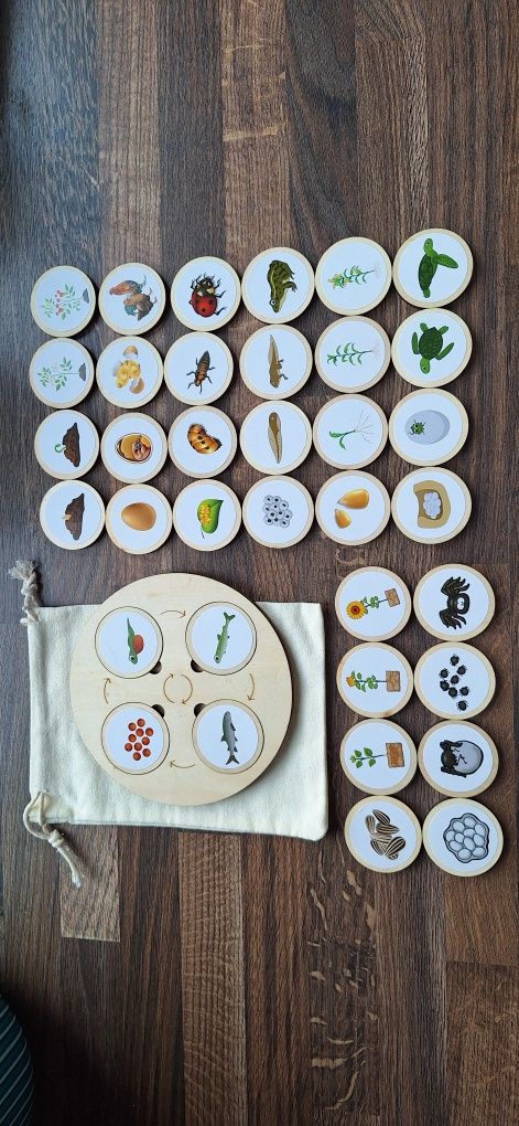 Drewniana układanka montessori cykl życia i rozwoju roślin i zwierząt