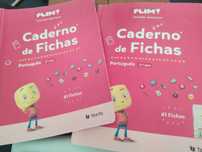 Livros de fichas 2o ano