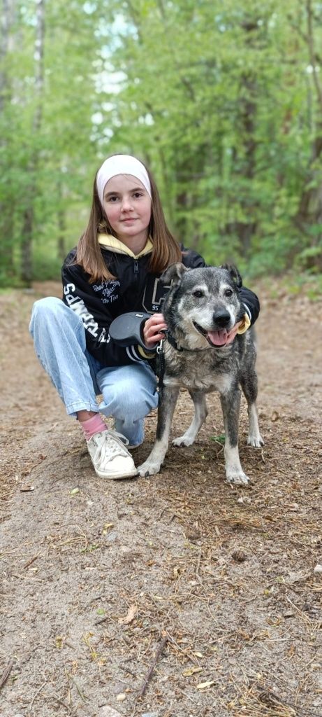 SILVER do adopcji!