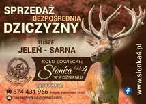 Dziczyzna, sarna, jeleń, daniel, mięso z dziczyzny, sarnina, jelenina