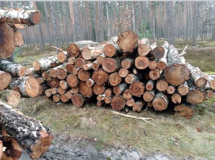 Drewno opałowe kominkowe transport