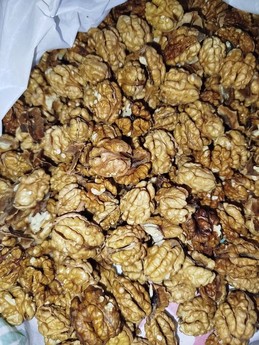 Волоський горіх.