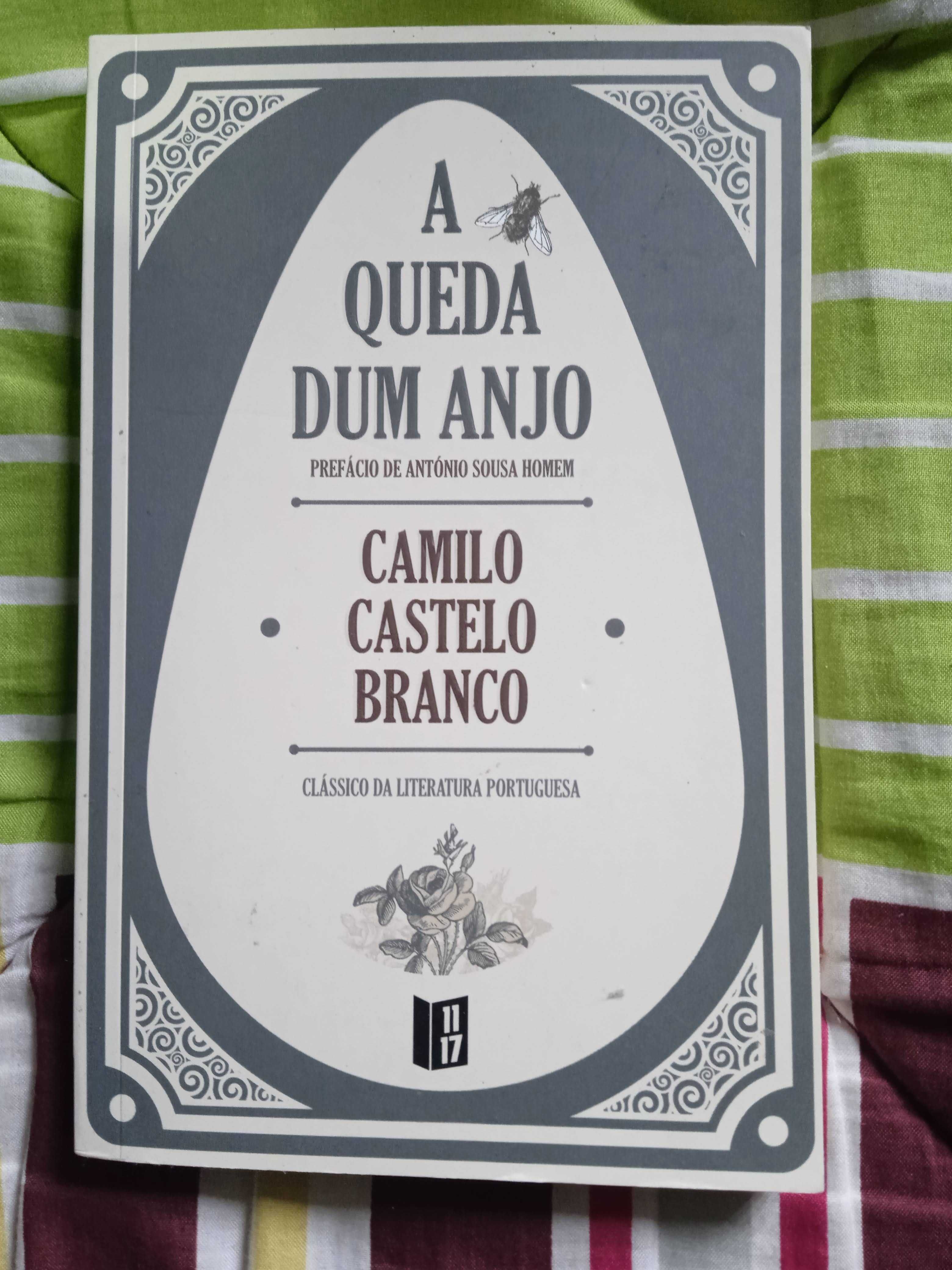 A Queda dum Anjo - Camilo Castelo Branco