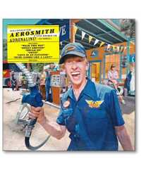 Aerosmith ‎– "A Little South Of Sanity" CD Duplo