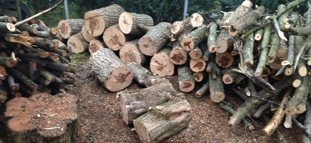 Дрова для отопления.