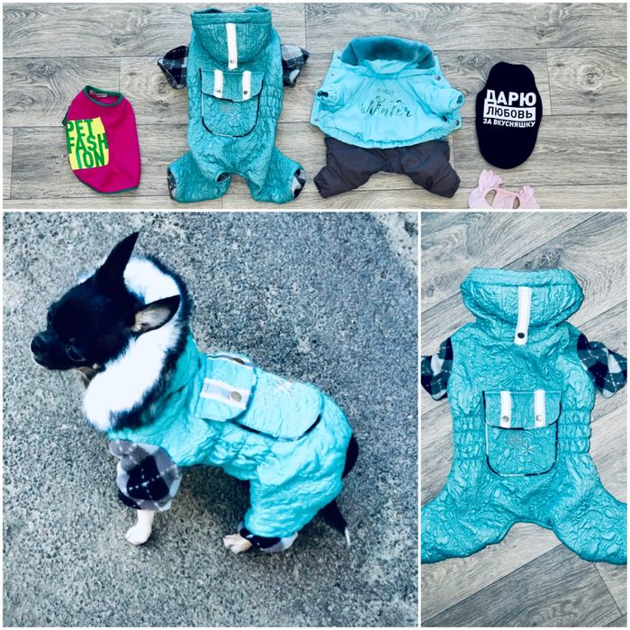 Одежда для собак is pet fashion на размер XS S M комбинезон куртка