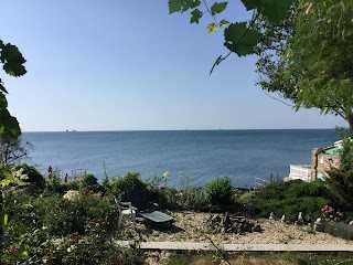 Дача Ковалевского  Продам  дом -дачу  первая  линия  моря Л.Д.