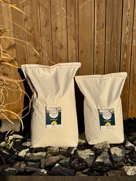 Sprzedam MAKUCH / z różnych nasion / DOSTAWA