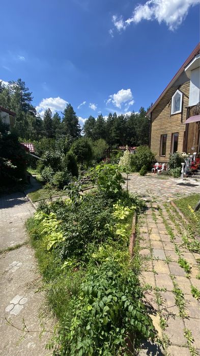 Оренда с. Нещерів, м. Обухів 4км.