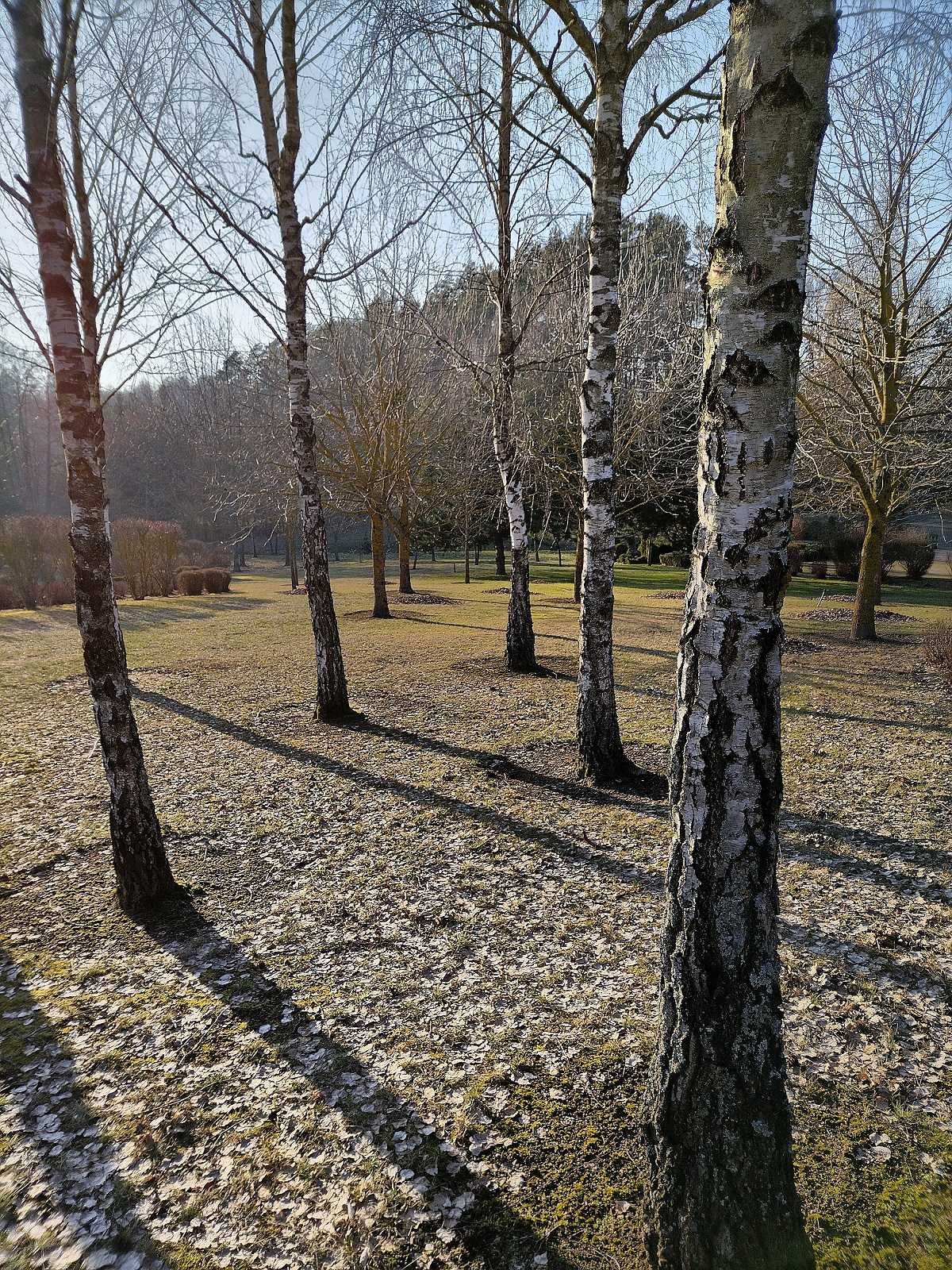 Działka z linią brzegową jeziora i pomostem. Płociczno, gm. Ełk