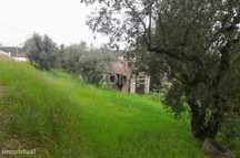 Terreno Rustico
