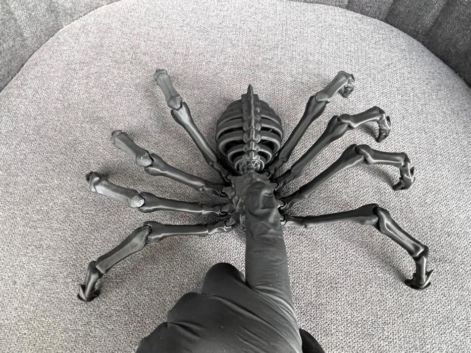 Рухлива іграшка Павук надрукована на 3д принтері