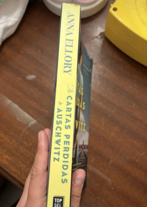 Livro : As cartas perdidas de auschwitz