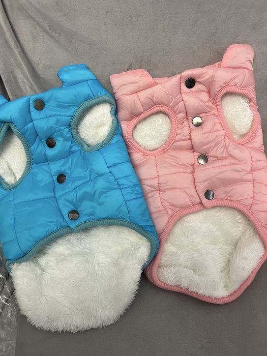 Жилет для собак,щенков французский бульдог,мопс размер М