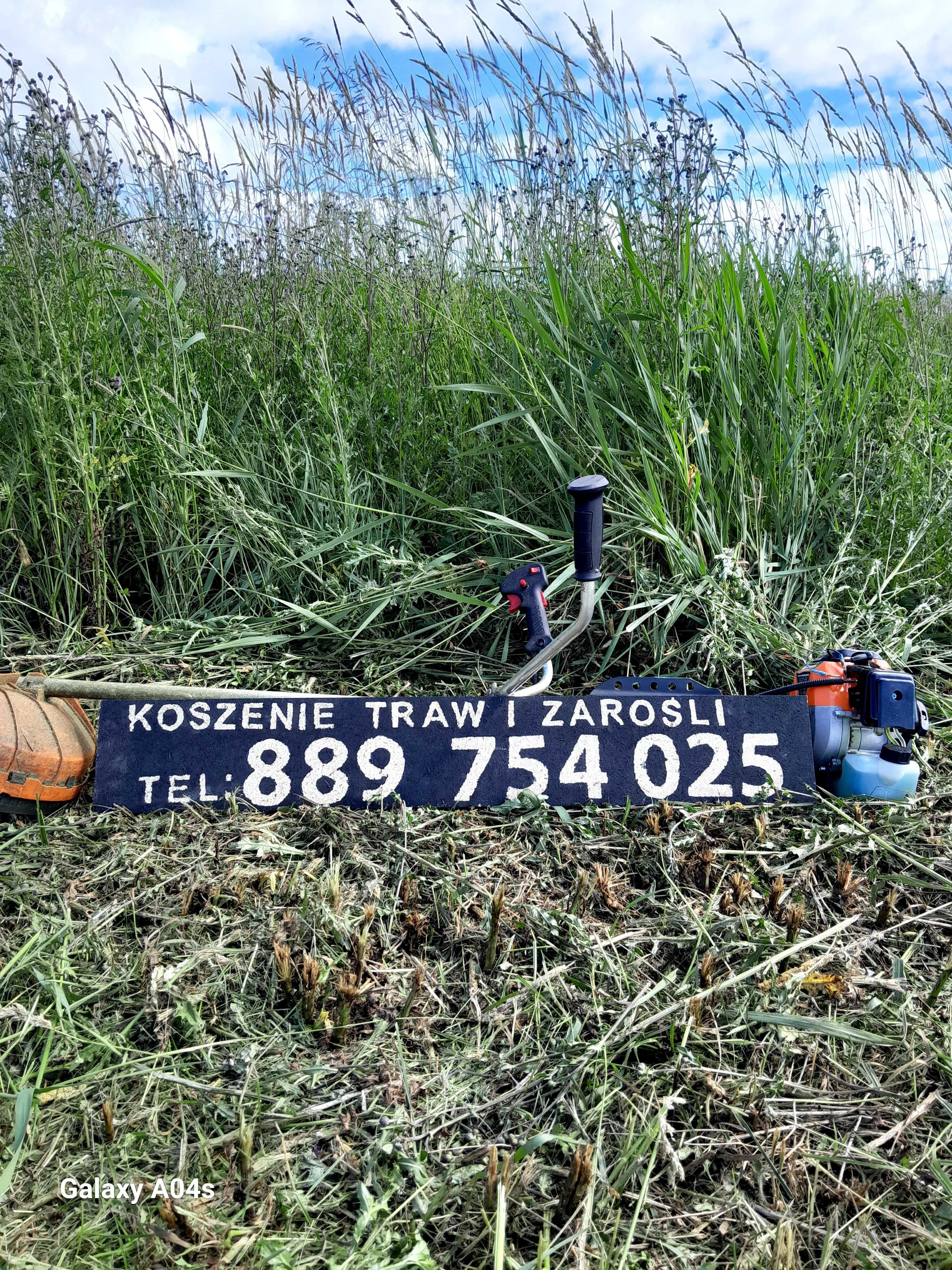 Koszenie traw I zarośli   Pielęgnacja żywopłotów