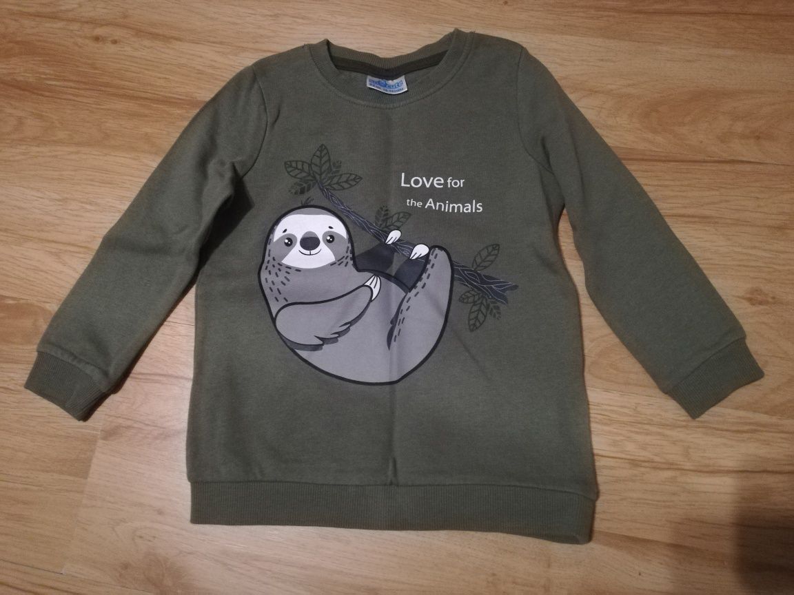 Bluza chłopięca z leniwcem