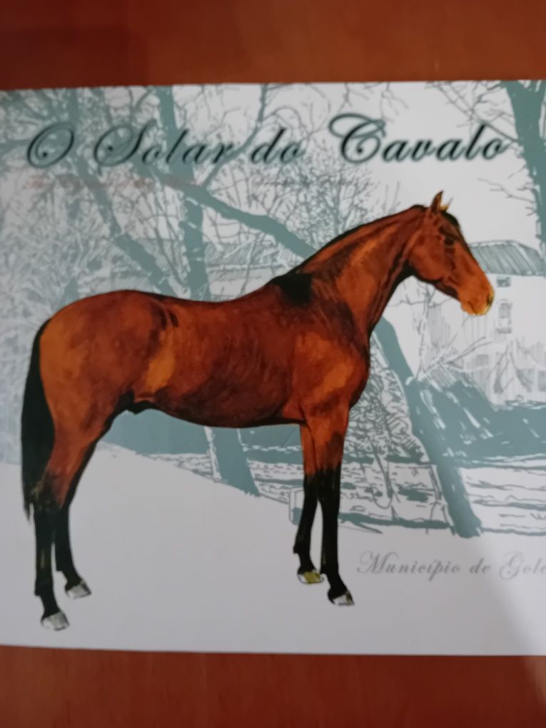 O Solar do Cavalos