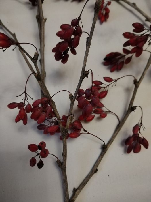 Основа для декора