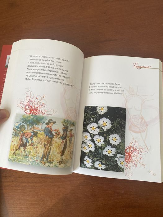 Livro de Poesia Felicidade- Mulher Romantismo Amor