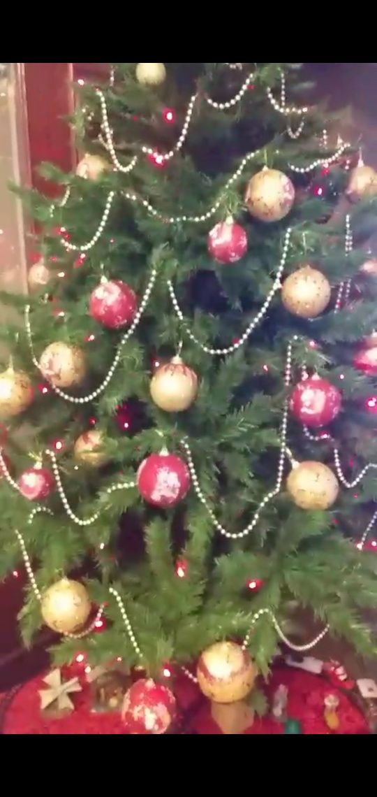 Árvore de natal iluminada