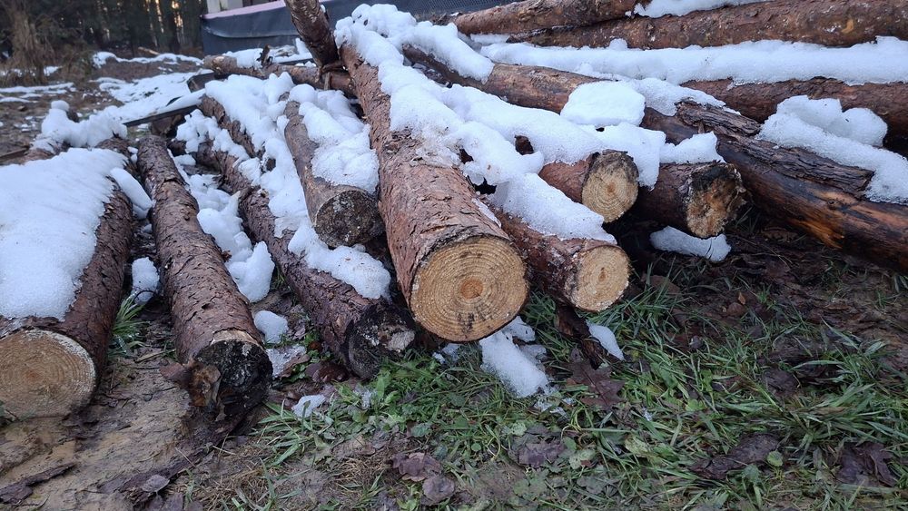 Stemple budowlane 3m