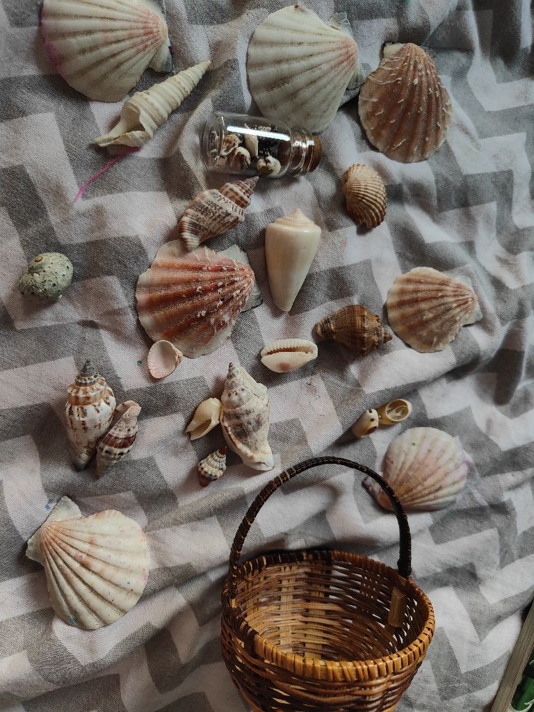 Muszelki i koszyczek