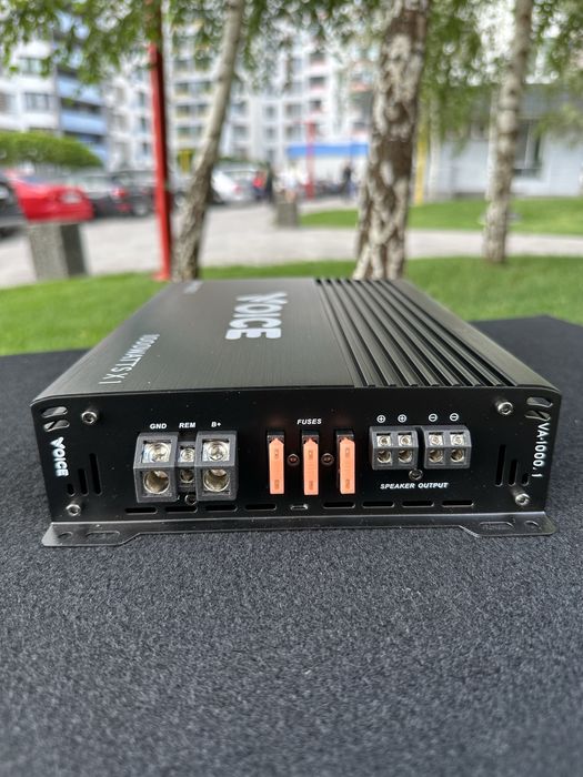 Сабвуфер з підсилювачем. Voice Va-1000 та Voice SP-305