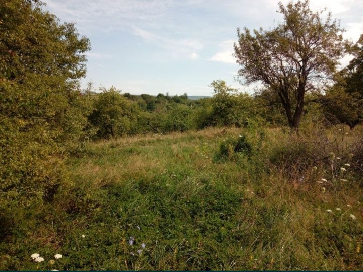 Ділянка в саду під відпочинок