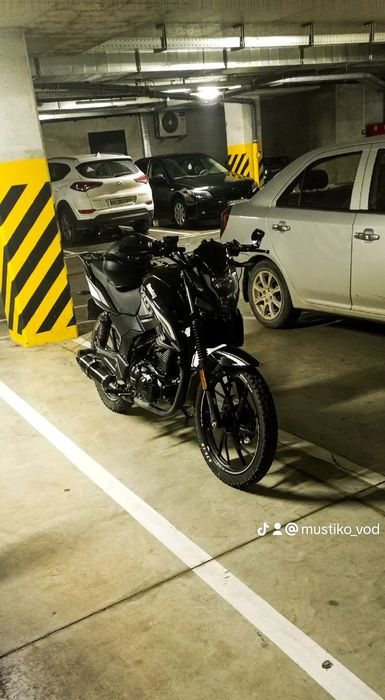 Мустанг регіон 150