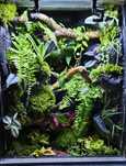 Gekon terrarium tropikalne 40x40x60