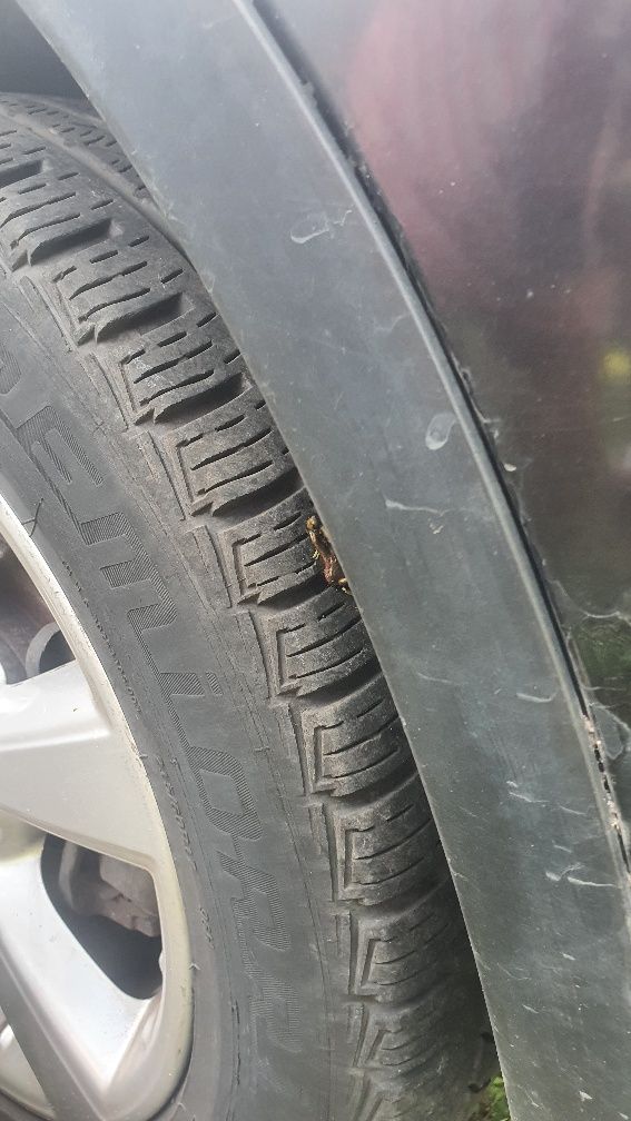 Sprzedam Qashai+2 REZERWACJA