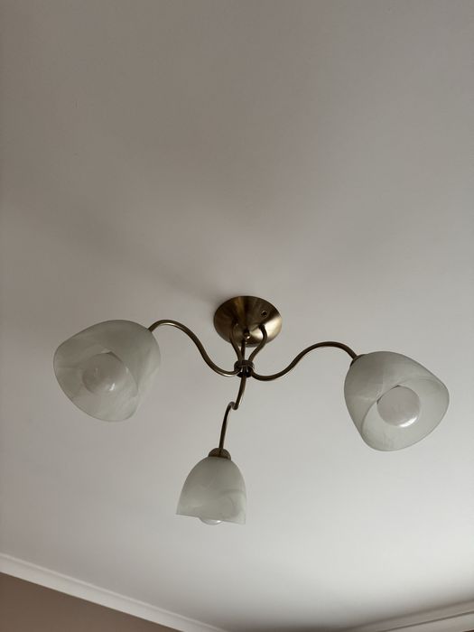 Lamoa sufitowa Zlota