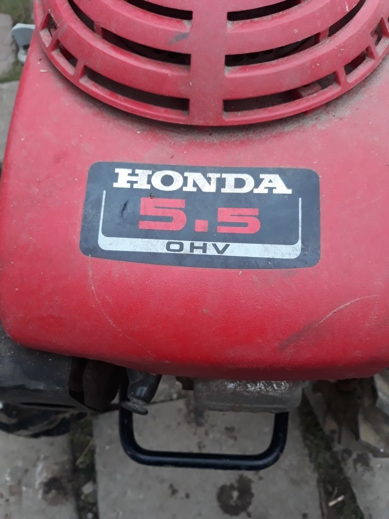 Glebogryzarka Vari honda 5.5