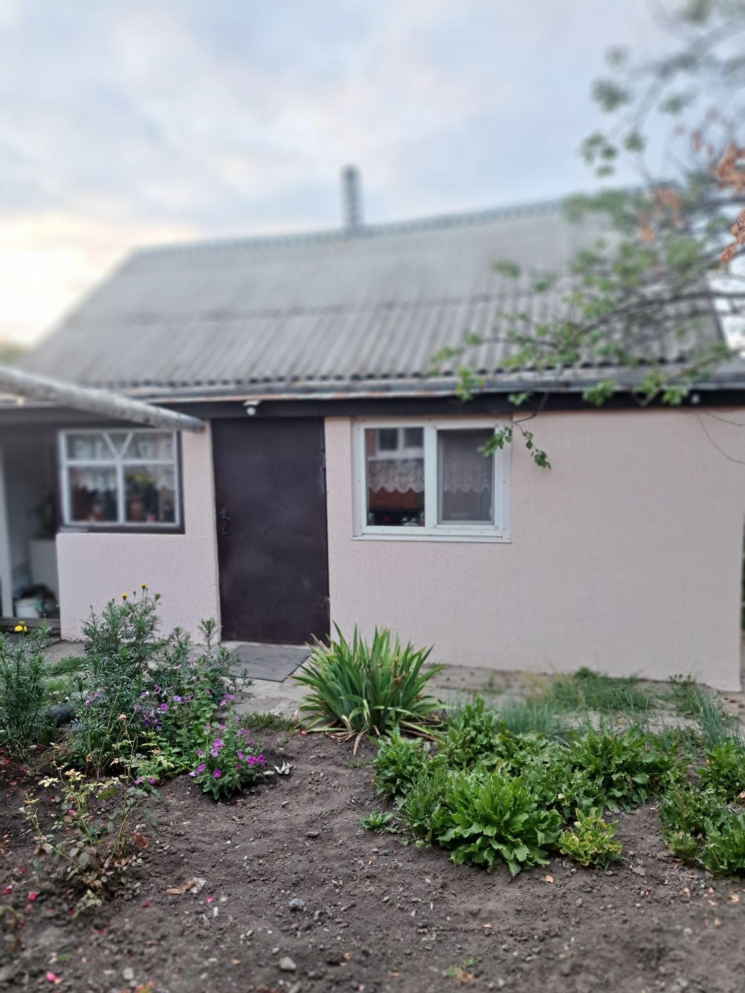 Продам будинок в с. Бричківка