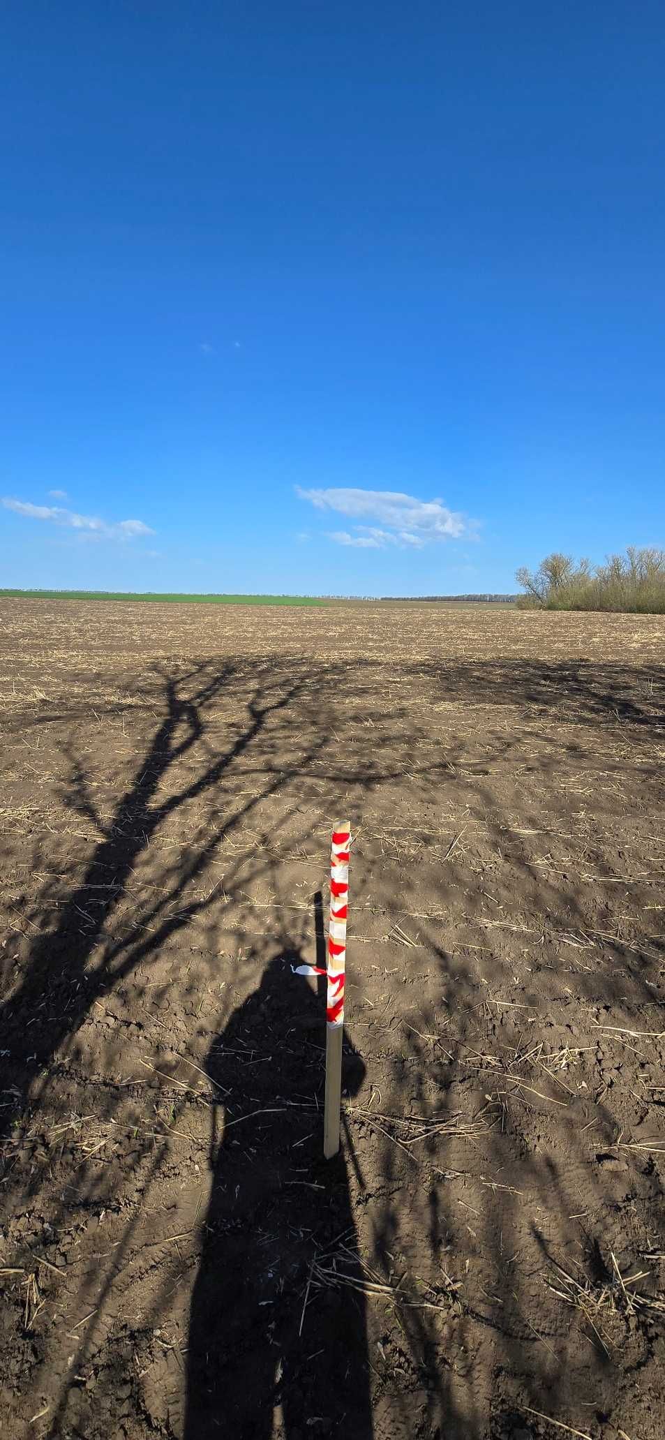 Інвестиція, яка починає працювати вже за кілька місяців.