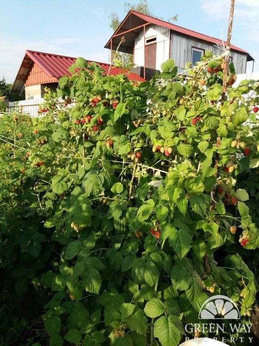 Продаж Терміново будинок с.Красне 160м2 25соток