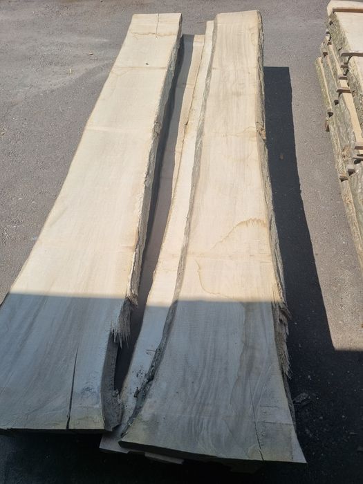 Дошка Граб 50мм суха 8% столярна