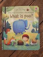 Usborne What is poo lift the flap wersja angielska