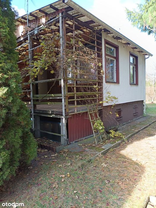 Działka ROD Wodnik Drzewce z domkiem 70m2 bez pośredników