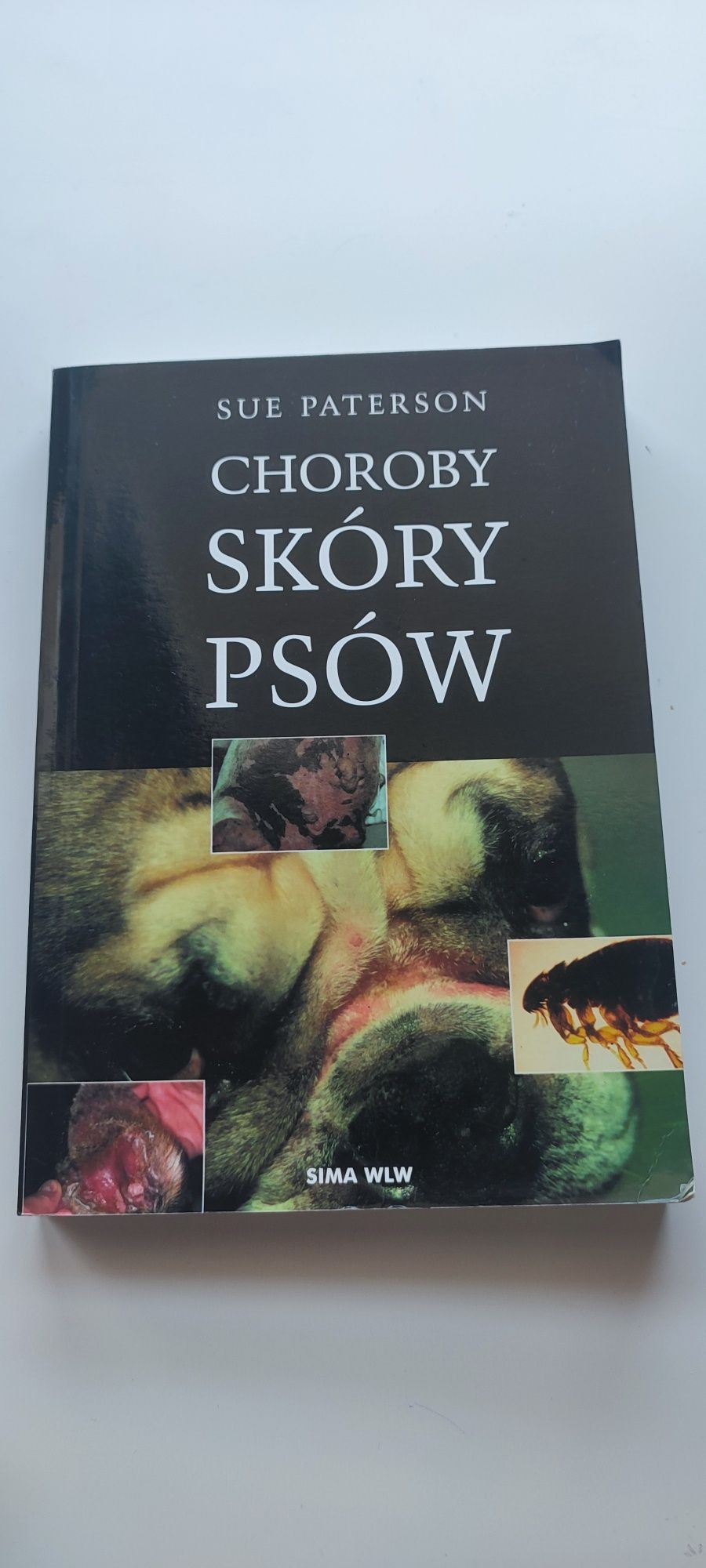 Choroby skóry psów - Paterson