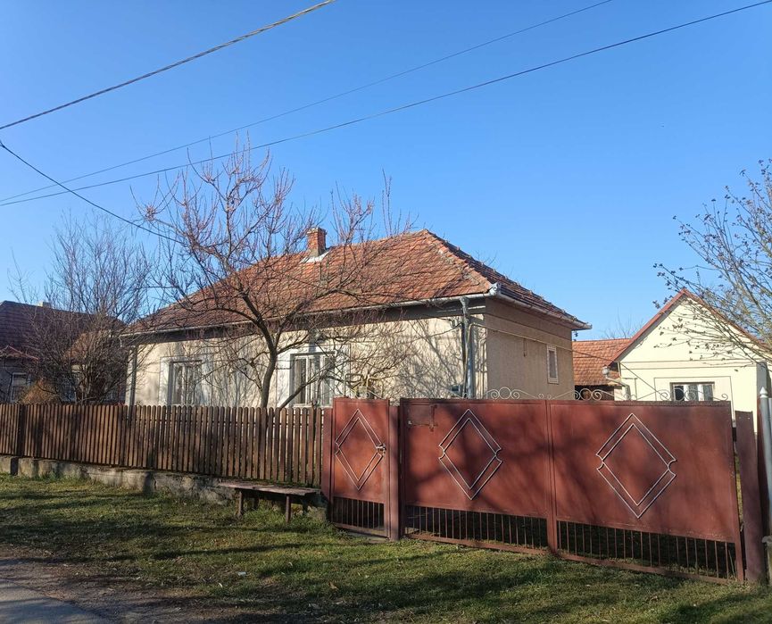 Велике БУДИНКОВОЛОДІННЯ у с. Балажер 7км до Берегова, ділянка 16 соток