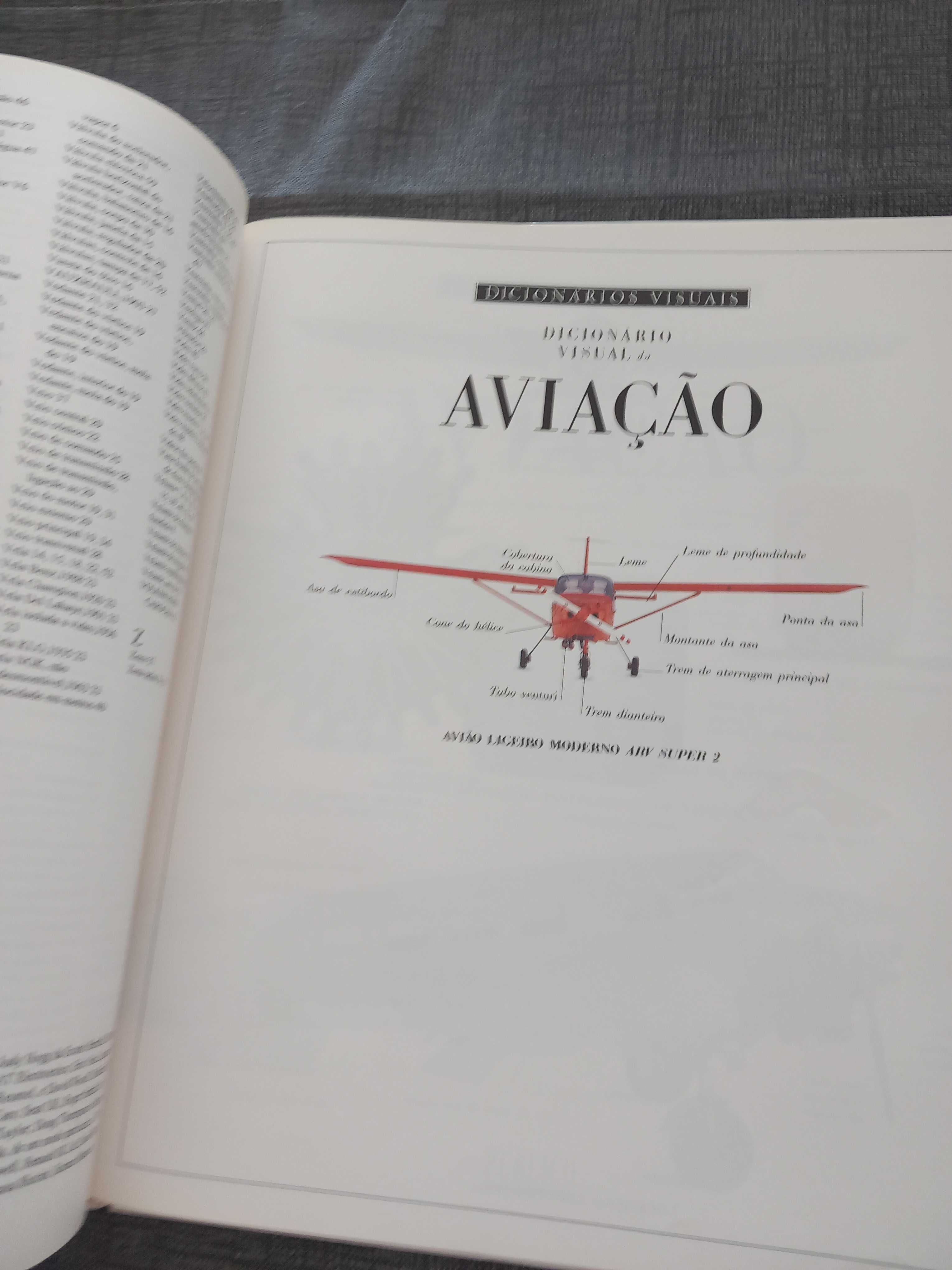 Livro de colecção,  Dicionario Visual.
